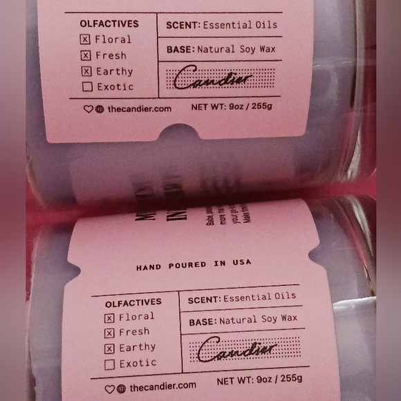 Soy Candier Candles MY PATIENCE IS IN RETROGRADE x2 - Picture 3 of 8